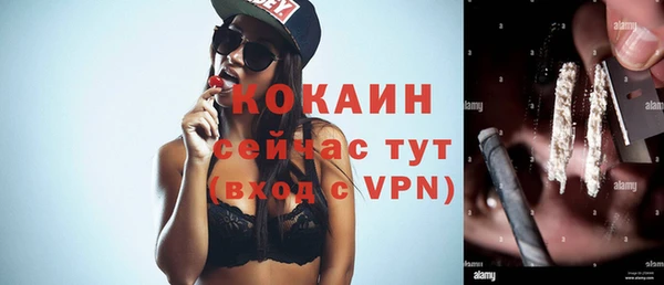 крисы Липки