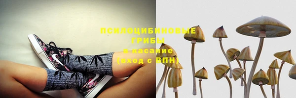 крисы Липки