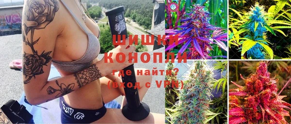 крисы Липки