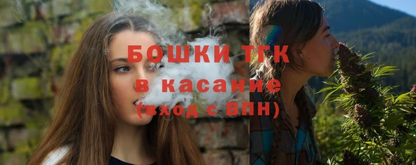 крисы Липки