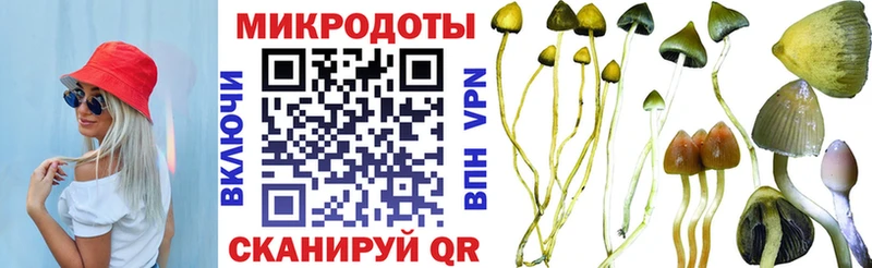 Купить закладки  Меленки  Псилоцибиновые грибы Cubensis 